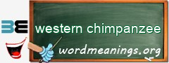 WordMeaning blackboard for western chimpanzee